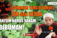 3 Tanaman yang Wajib Ada di Rumah, Salah Satunya Bisa Jadi Pengusir Jin dan Setan Menurut Islam, Kok Bisa?