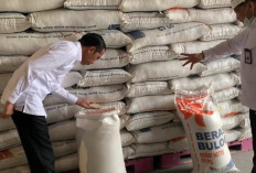Simak! Instruksi Terbaru Jokowi ke Bulog untuk Tekan Lonjakan Harga Beras