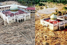 Heboh Masjid Pondok Pesantren di Aceh Tamiang Masih Kokoh dengan Dikelilingi Ribuan Kayu Sisa Banjir