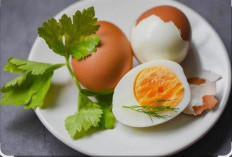 Putih vs Kuning Telur, Jangan Salah Pilih! Ini Kandungan dan Manfaat yang Jarang Disadari
