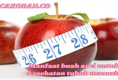 10 Manfaat Buah Apel untuk Kesehatan Tubuh Manusia, Salah Satunya untuk Diet, Kok Bisa? 