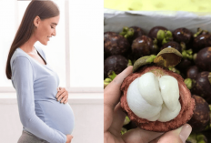 5 Alasan Kenapa Buah Manggis Bagus untuk Promil, Ibu-ibu Hamil Wajib Tau Banget Manfaatnya!