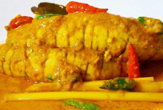 5 Manfaat Mengkonsumsi Telur Ikan, Nomor 5 Bisa Menurunkan Berat Badan, Begini Tipsnya....