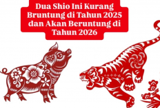 Dari Zonk ke Cuan! Inilah 2 Shio yang Bakal Meroket di Tahun 2026 Jangan Sampai Ketinggalan!