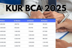Lengkap! Dokumen dan Syarat Pengajuan KUR BCA 2025 untuk UMKM, Bunga Ringan Tenor Panjang