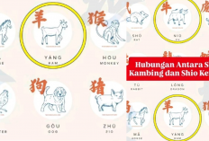 Shio Kambing & Kerbau, Jodoh Impian atau Mimpi Buruk? Kupas Tuntas di Sini!