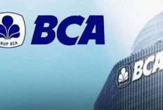 Yuk Ajukan Pinjaman Modal Usaha di Kartu Kredit BCA Limit 20 Juta Bunga 1,75 Persen! Persyaratannya Mudah Lho