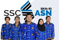 Persiapkan diri,9 November SKD CPNS 2023, Cek passing Grade dan Cara Cetak Kartu Ujian, Jangan ada Ketinggalan