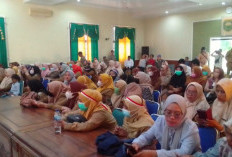 2024 Tak Diprioritaskan Jadi PPPK, Puluhan Honorer Tenaga Kesehatan Ancam Lakukan Aksi ke Pusat