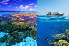 Pulau Bunaken Manado, Surga Wisata Laut dengan Terumbu Karang Spektakuler dan Spot Diving Terbaik 