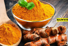Kunyit: Manfaat, Efek Samping, dan Takaran yang Aman untuk Konsumsi