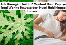 Tak Disangka! Inilah 7 Manfaat Daun Pepaya bagi Wanita Dewasa dari Nyeri Haid hingga Kanker...