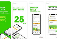 Terdaftar OJK! Pinjam Modal Usaha Teraman dengan Limit 25 Juta Bunga 3 Persen Tenor 12 bulan, Ini Syaratnya..