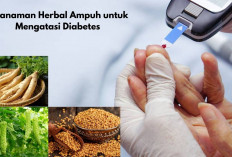 5 Tanaman Herbal Ampuh untuk Mengatasi Diabetes, No 3 Sering Kamu Jumpai!