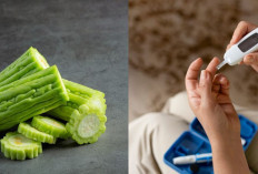 Meski Rasanya Pahit, Ini 6 Manfaat Sayur Pare untuk Kesehatan, Salah Satunya Menurunkan Gula Darah