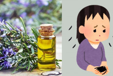 Rambut Rontok Parah, Rosemary Oil Solusi Terbaik, Ini Fakta dan Cara Pakainya! 