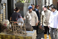 Prabowo Tinjau Lokasi Banjir di Bali Usai Kunjungan ke Doha, Pastikan Penanganan dan Bantuan Cepat Tersalurkan