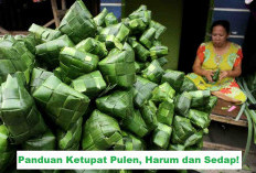 Jangan Asal, Begini Tips dan Cara Lengkap Membuat Ketupat Lebaran Daun Pandan Pulen, Harum dan Sedap!