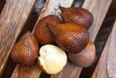 Tak Ada Duanya! 7 Buah Asli Indonesia yang Sulit Ditemui di Negara Lain, Apa Saja?