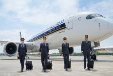 Laba Singapore Airlines Anjlok 59%, Saham Ikut Terjun Bebas, Gegara Ini!