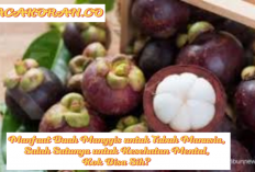 6 Manfaat Buah Manggis untuk Tubuh Manusia, Salah Satunya untuk Kesehatan Mental, Kok Bisa Sih? 