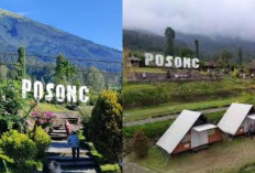 Wisata Alam Posong, Negeri di Atas Awan yang Sejuk dan Menenangkan di Kaki Gunung Sindoro