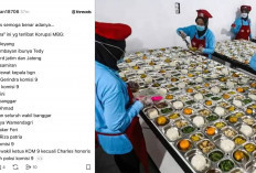 Bocor, Daftar Dugaan Korupsi MBG Bocor, Ibunda Tedy hingga Komisi DPR Disebut
