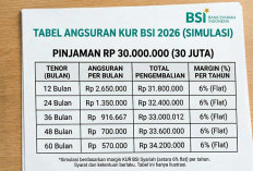 Tabel KUR BSI 2026 Pinjaman Rp 30 Juta: Simulasi Cicilan Ringan, Syarat Mudah, Cocok untuk UMKM!