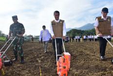 Yang Biasa Mainkan Harga Pupuk Harus Tobat, Jika Tetap Ngeyel Siap-Siap Terima Hukuman Ini  