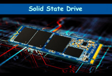 Ini Dia Fungsi SSD pada Laptop, Makin Penasaran sama Performa ‘Si Kecil’ Ini, Berikut Penjabarannya!