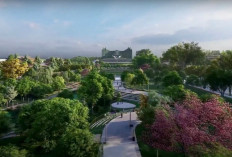 Terungkap Biang Kerok 2.806 hektare Lahan di IKN Belum Bebas, Ini Solusi Disiapkan Pemerintah!