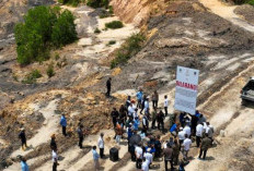Geger! 6.000 Ton Batu Bara Ilegal Ditemukan di Kalimantan Timur, Pemerintah Turun Tangan
