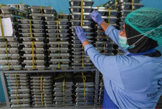 BGN Tutup Sementara 492 SPPG di Sumatera, Ratusan Dapur MBG Belum Punya SLHS! 