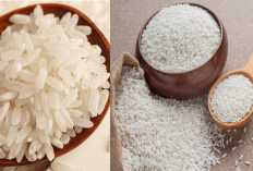 Gila! 85 Persen Beras Premium di Pasaran Ternyata Oplosan, Wilmar dan Kartel Digerebek Bareskrim!