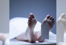 Wanita di Bogor Tewas Tercebur Sumur Saat Mandi Dirumahnya, Ini Kronologinya!