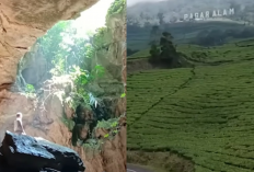 5 Wisata Alam Sumatera Selatan dengan Suasana Alami & Indah, Bikin Betah Berlama-Lama!