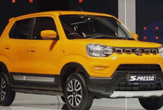Harga City Car Agustus 2026, S-Presso sampai Agya Naik