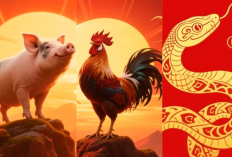 Auto Hoki! 6 Shio Ini Gak Perlu Takut Miskin, Rezekinya Lancar Jaya