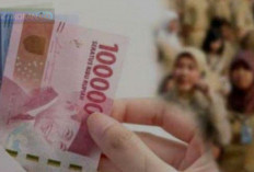 BKN Bocorkan Gaji PNS Single Salary 2024, Kantong Gendut atau Sekadar Angan-Angan?