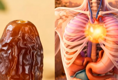 Kurma Bukan Sekadar Sunnah Bantu Energi Cepat Naik & Lambung Lebih Ringan Saat Buka Puasa!