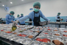 Wah, Dapur MBG yang Sesuai Standar Akan Dapat Intensif Rp6 Juta Sehari, Begini Ketentuannya!