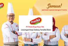 Lowongan Kerja PT Mulia Boga Raya Tbk (Prochiz) Terbaru Untuk Lulusan SMA, Siapkan Berkasmu Sekarang!