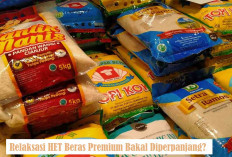 Relaksasi HET Beras Premium Bakal Diperpanjang Lagi? Begini Penjelasan Bapanas!