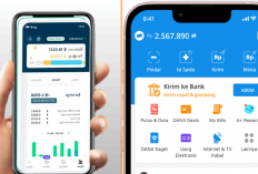 Berburu Cuan! Link Saldo Gratis DANA Rp300 Ribu Siap Dicairkan Langsung Di Nomor Hp eWallet, Cek Sekarang