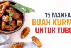 15 Manfaat Kurma yang Jarang Diketahui! Dari Meningkatkan Energi hingga Mencegah Penyakit