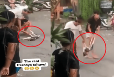 Nggak Ngotak! Anjing Udah Ditabrak Motor Tapi Hidup Lagi, Lihat Aja Video Anjing Ini!