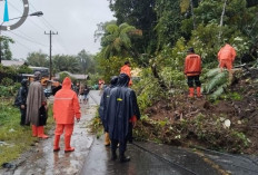Darurat Banjir Sumut: Operasi SAR Basarnas 24 Jam di Sibolga–Tapanuli, BNPB Siapkan Modifikasi Cuaca  