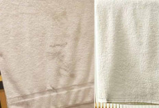 5 Metode Ajaib untuk Mengubah Handuk Dekil Menjadi Seperti Baru