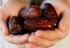 Manfaat Kurma yang Harus Kamu Ketahui: Dari Energi Hingga Kesehatan Jantung!