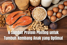 Jangan Sampai Anak Loyo! Ini 6 Sumber Protein Penting untuk Tumbuh Kembang yang Optimal